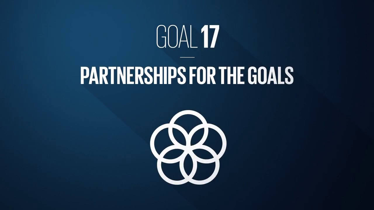 partnership-for-the-goal.jpg